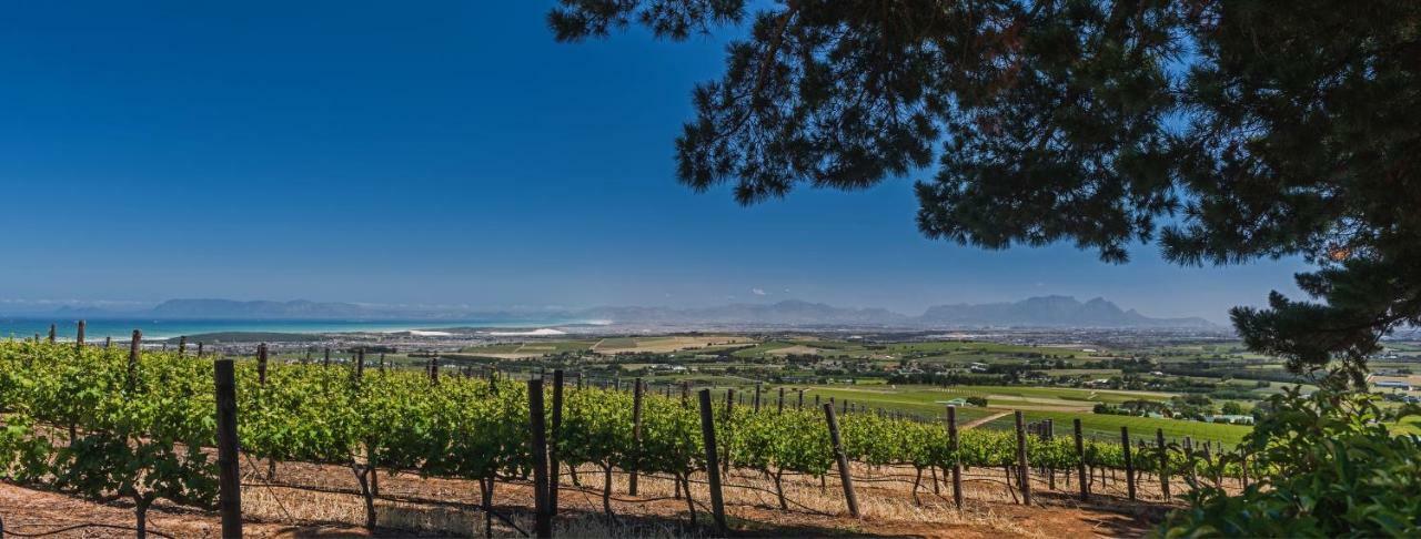 Longfield House Villa Stellenbosch Luaran gambar