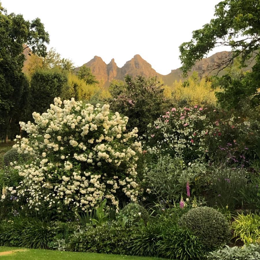 Longfield House Villa Stellenbosch Luaran gambar